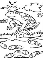 Coloriages de grenouilles