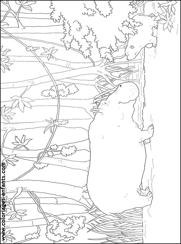 coloriage d'hippopotame pour les enfants