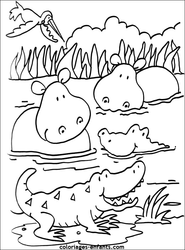 coloriage d'hippopotame pour les enfants