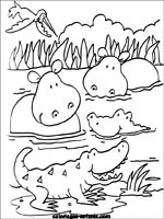 Coloriages d'hippopotames