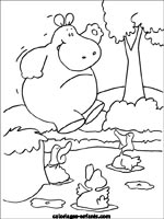 Coloriages d'hippopotames