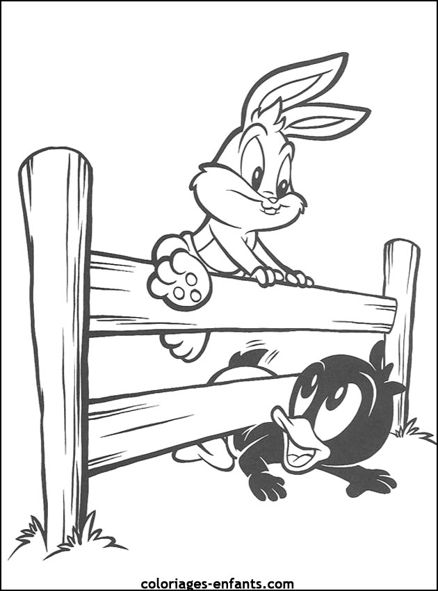 coloriage d'animaux - dessin de lapin  imprimer