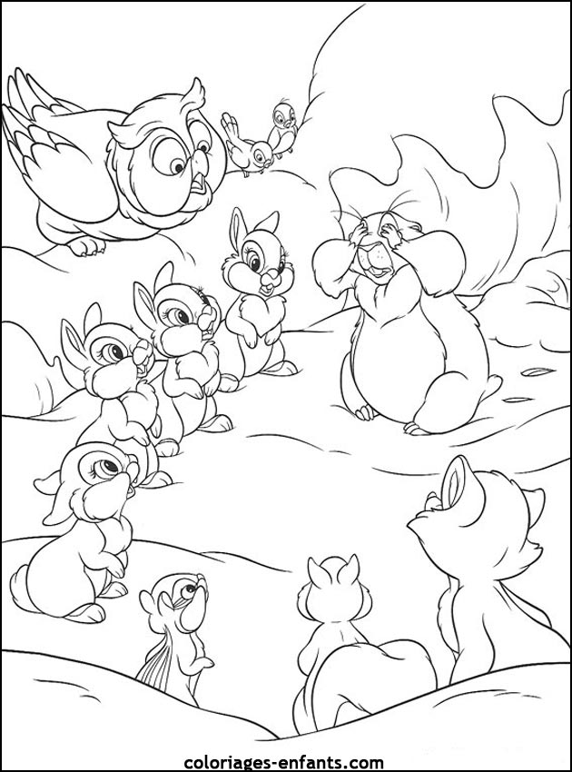 coloriage d'animaux - dessin de lapin  imprimer