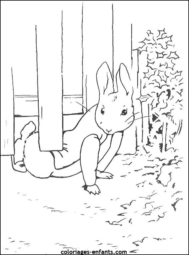 coloriage d'animaux - dessin de lapin  imprimer