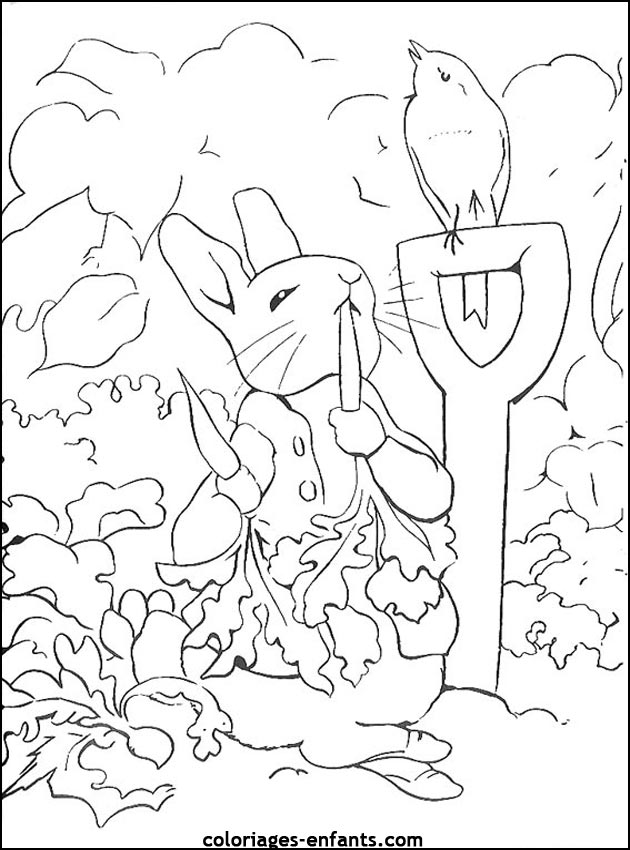 coloriage d'animaux - dessin de lapin  imprimer