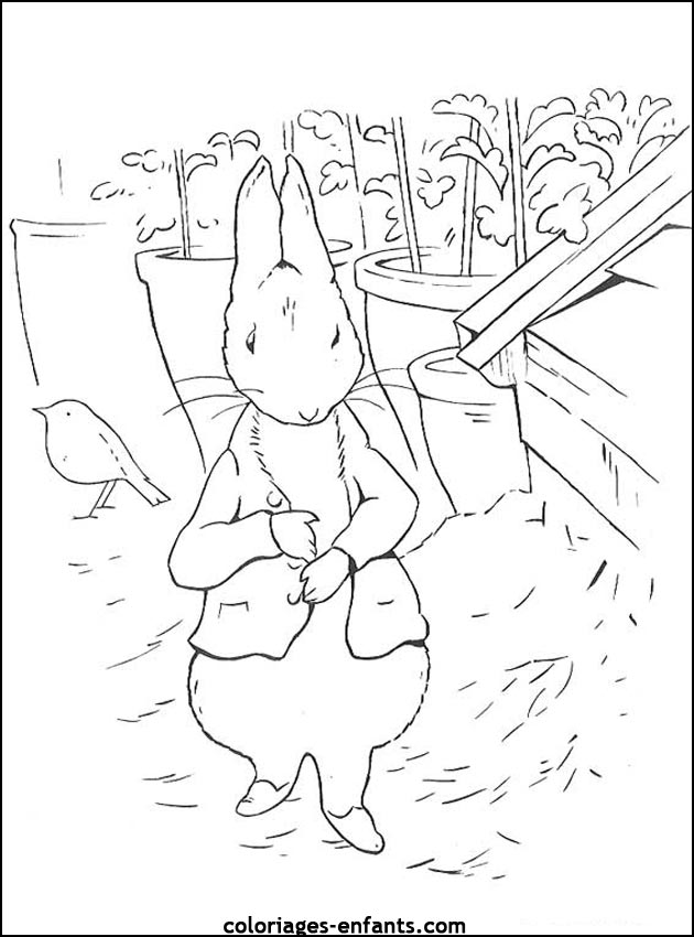 coloriage d'animaux - dessin de lapin  imprimer