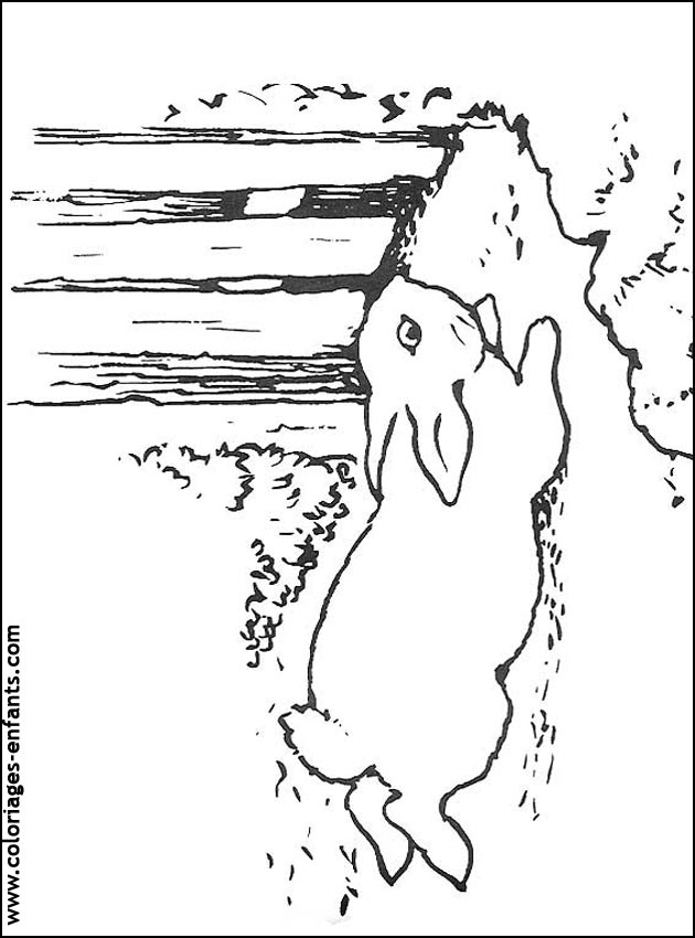 coloriage d'animaux - dessin de lapin  imprimer