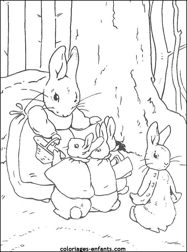 coloriage d'animaux - dessin de lapin  imprimer