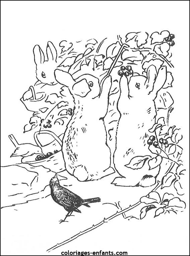 coloriage d'animaux - dessin de lapin  imprimer