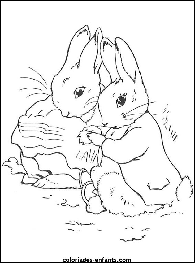 coloriage d'animaux - dessin de lapin  imprimer