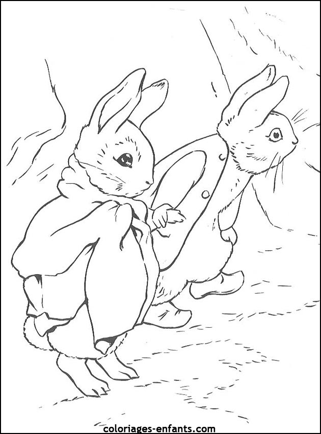 coloriage d'animaux - dessin de lapin  imprimer