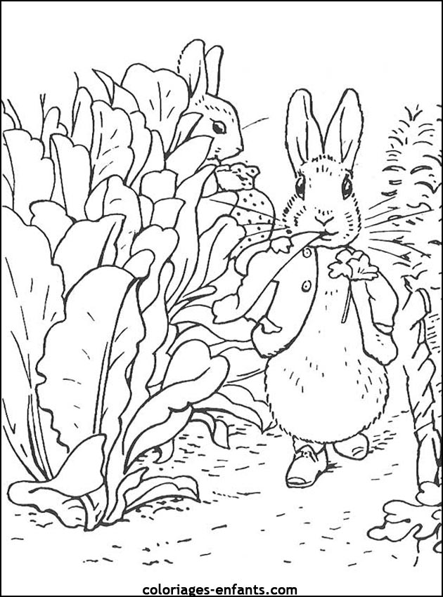 coloriage d'animaux - dessin de lapin  imprimer