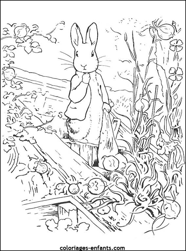 coloriage d'animaux - dessin de lapin  imprimer