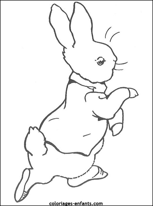 coloriage d'animaux - dessin de lapin  imprimer