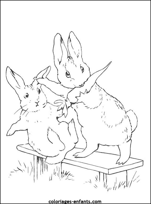 coloriage d'animaux - dessin de lapin  imprimer