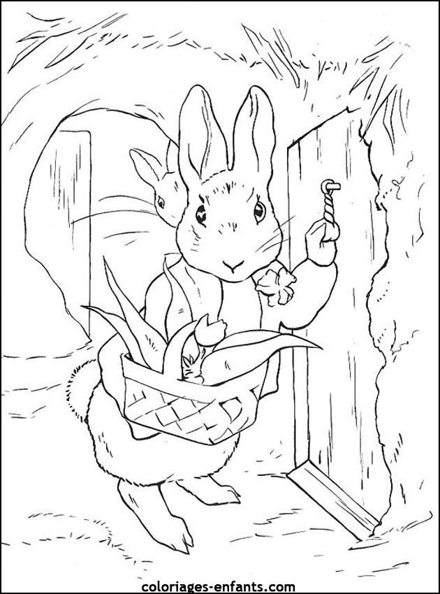 coloriage d'animaux - dessin de lapin  imprimer