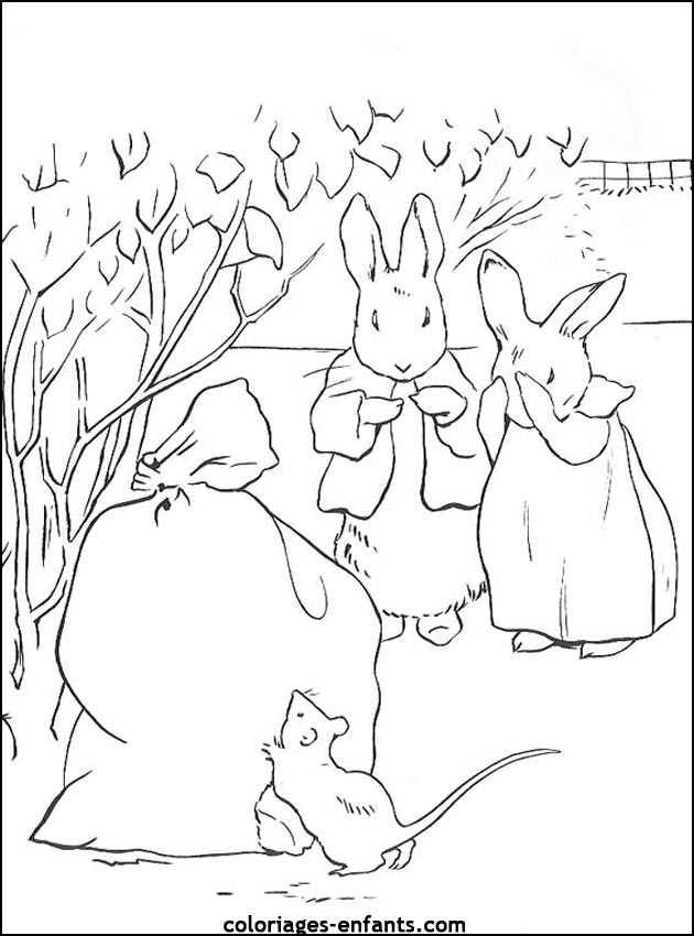 coloriage d'animaux - dessin de lapin  imprimer