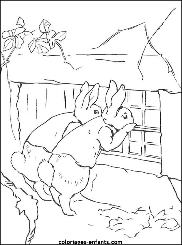 coloriage d'animaux - dessin de lapin  imprimer