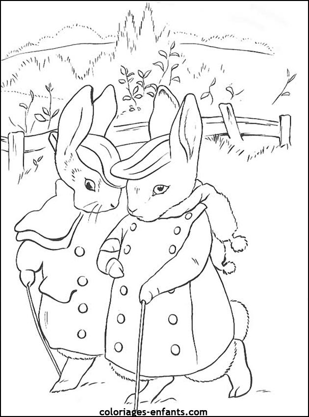 coloriage d'animaux - dessin de lapin  imprimer