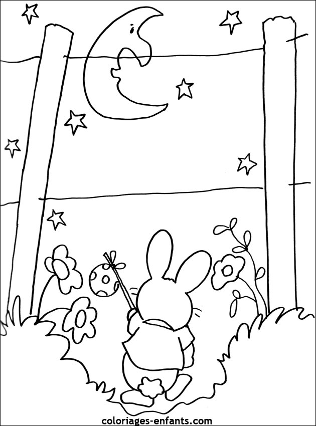 coloriage d'animaux - dessin de lapin  imprimer