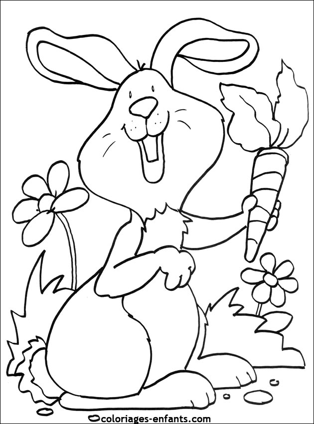 coloriage d'animaux - dessin de lapin  imprimer