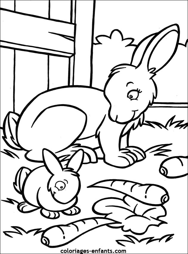 coloriage d'animaux - dessin de lapin  imprimer