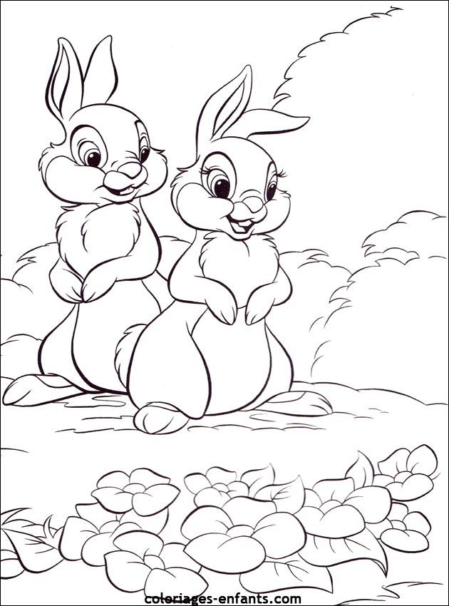 coloriage d'animaux - dessin de lapin  imprimer