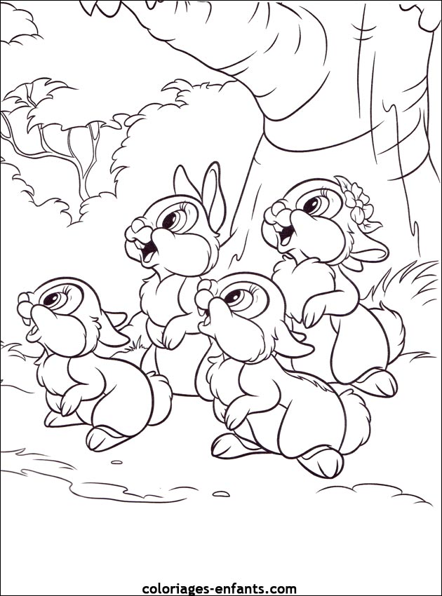 coloriage d'animaux - dessin de lapin  imprimer