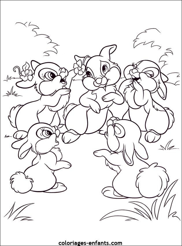 coloriage d'animaux - dessin de lapin  imprimer