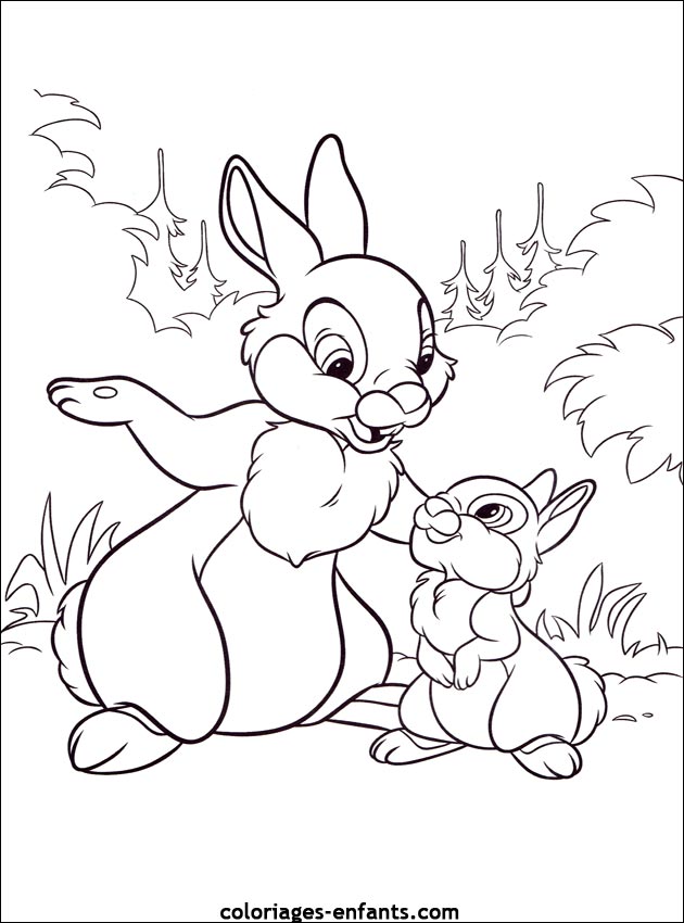 coloriage d'animaux - dessin de lapin  imprimer