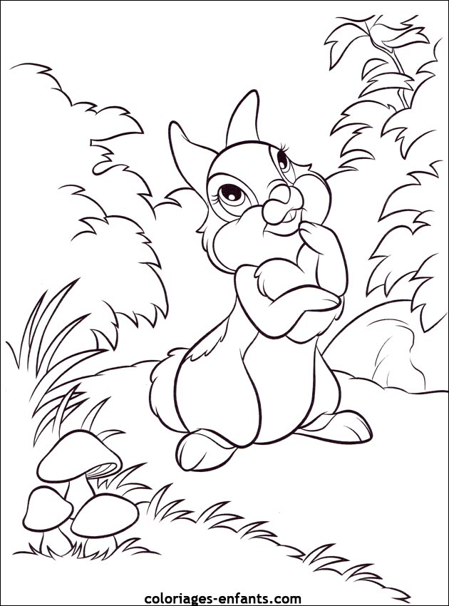 coloriage d'animaux - dessin de lapin  imprimer