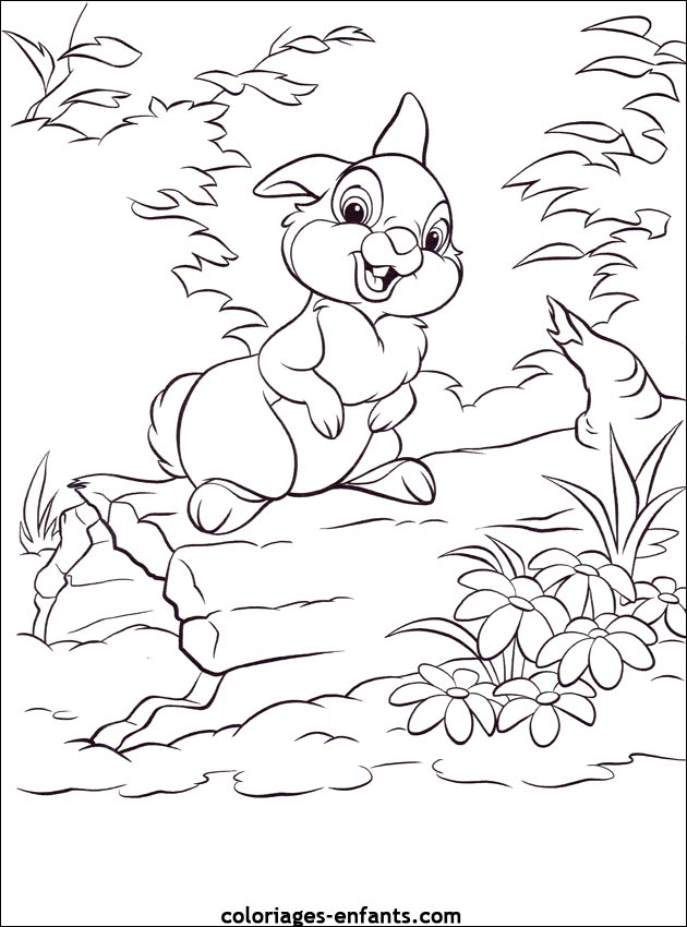 coloriage d'animaux - dessin de lapin  imprimer