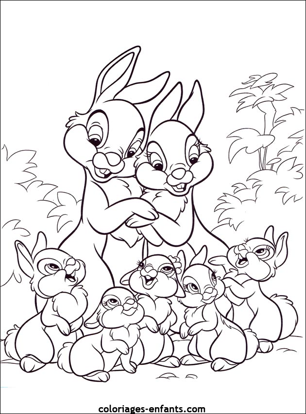 coloriage d'animaux - dessin de lapin  imprimer