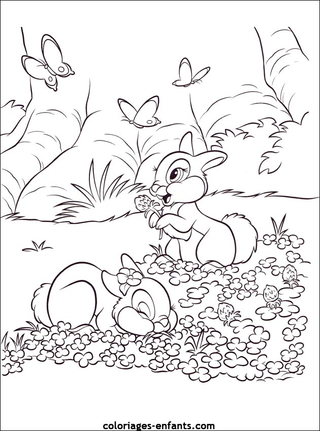 coloriage d'animaux - dessin de lapin  imprimer