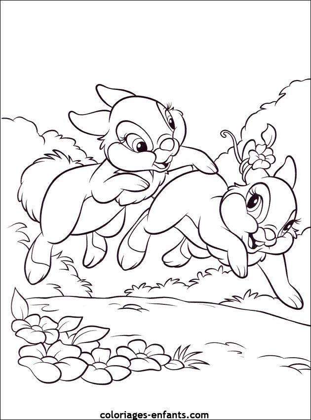 coloriage d'animaux - dessin de lapin  imprimer