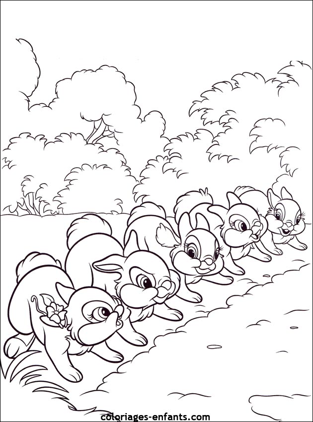 coloriage d'animaux - dessin de lapin  imprimer