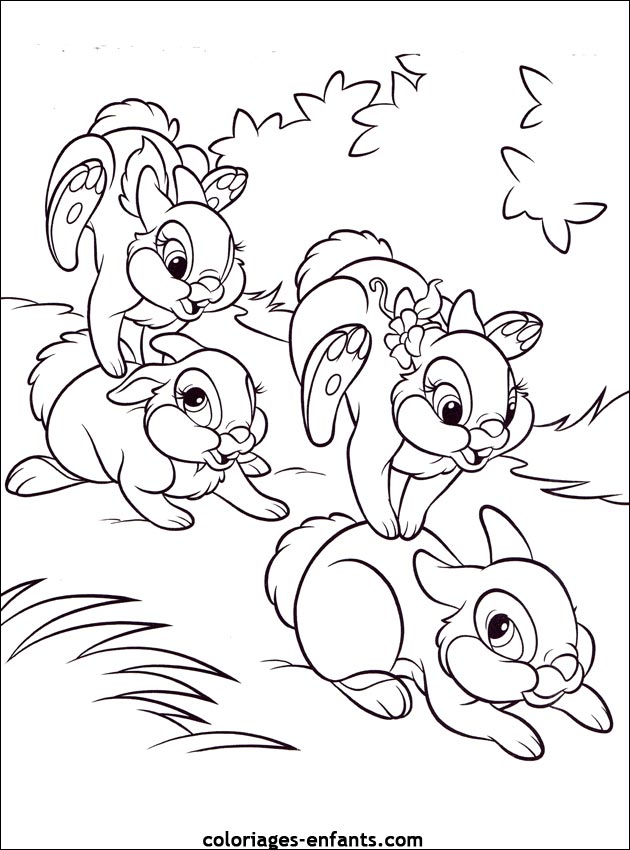 coloriage d'animaux - dessin de lapin  imprimer