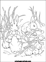 Coloriages de lapins