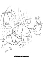 Coloriages de lapins