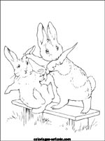 Coloriages de lapins