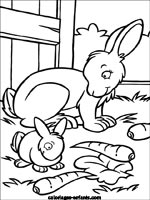 Coloriages de lapins