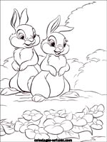 Coloriages de lapins