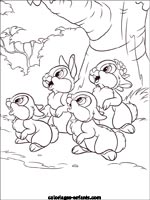 Coloriages de lapins