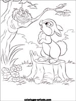 Coloriages de lapins