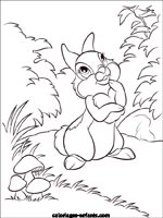 Coloriages de lapins