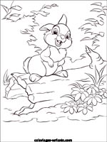 Coloriages de lapins