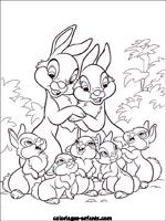 Coloriages de lapins