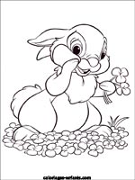 Coloriages de lapins