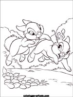 Coloriages de lapins