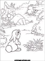 Coloriages de lapins